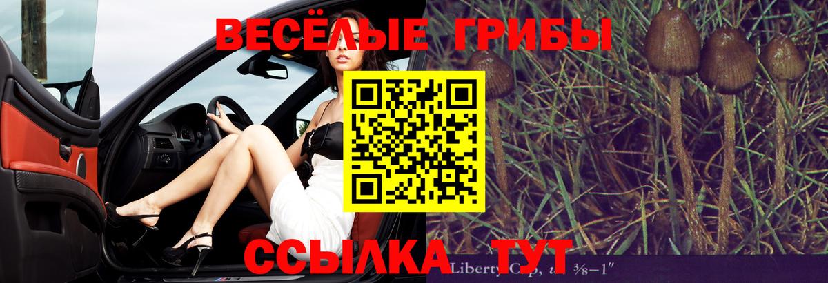 МЕФ   Заволжье  Лсд 25  Экстази  Гашиш  Вход с VPN  Бошки Шишки 