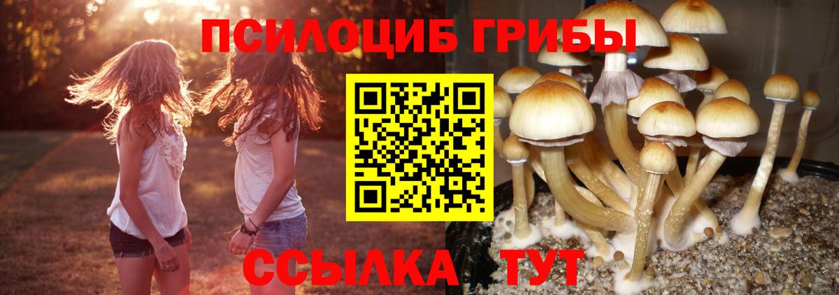 Галлюциногенные грибы мухоморы  Вход с VPN  Заволжье 